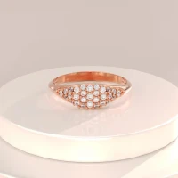 /public/photos/live/Dainty Pave Moissanite Signet Ring Women-1063(7).webp